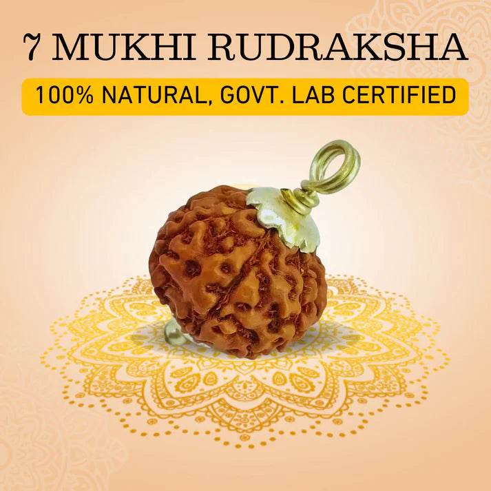 🕉️ 7 Mukhi Nepali Rudraksha - Saat Mukhi 🕉️